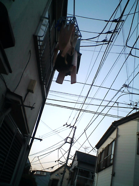 �����̈ꖇ