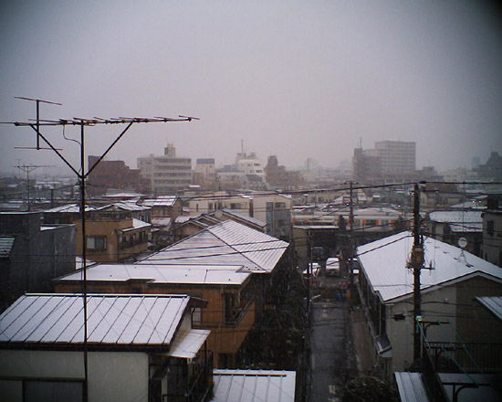 �����̈ꖇ