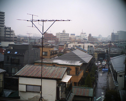 �����̈ꖇ