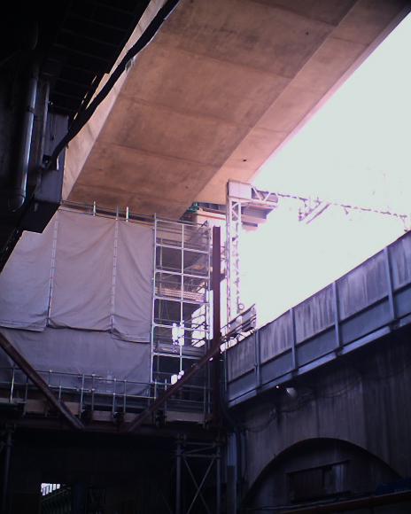 �����̈ꖇ