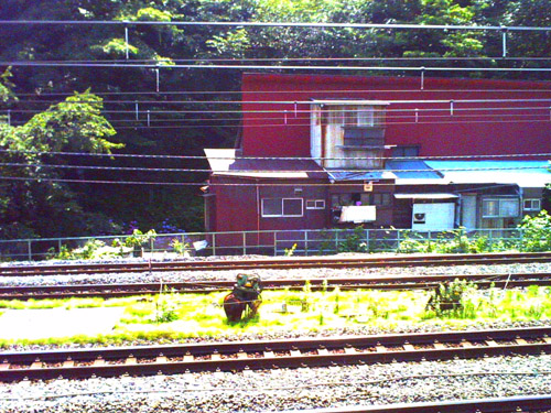 �����̈ꖇ