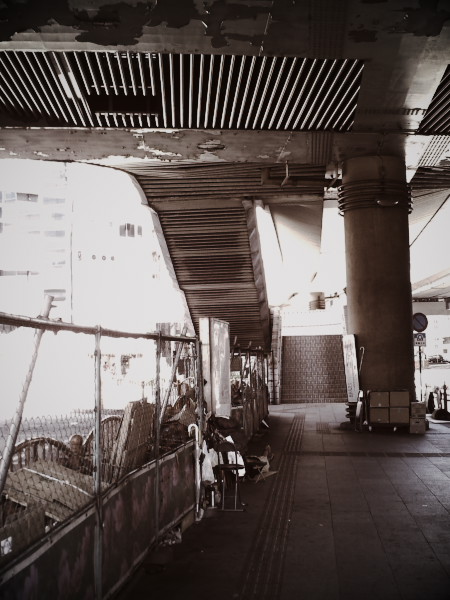 �����̃z�[�����X�Ɠ��{�̐���