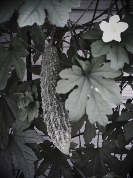 �����̃S�[���̎��Ɖ��F����