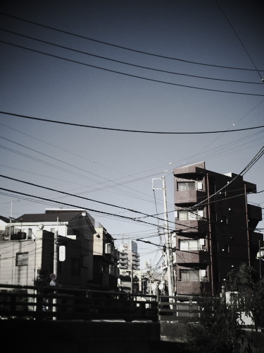 �䕗���ʂ�߂�������Y��Ȑ�