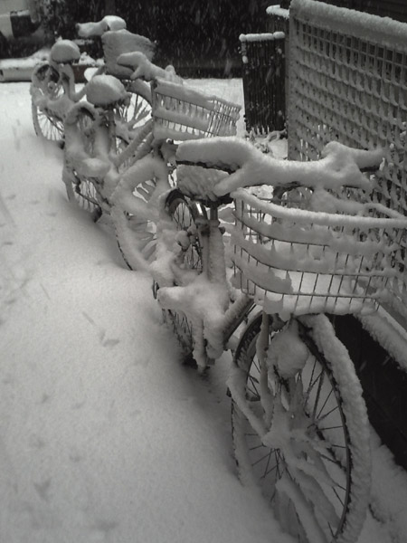 �V�C�\�񂪊O��ċ@�������������̐l�X