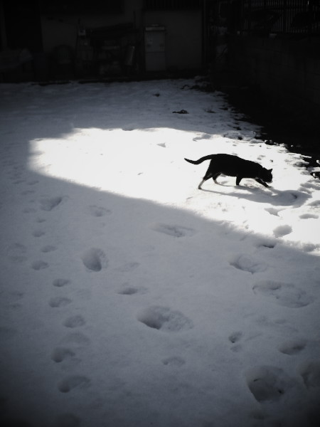 ����̂��ԕ��@�Ƃ��ǂ���ǔL�@�Ƃ���ɂ��PM2.5