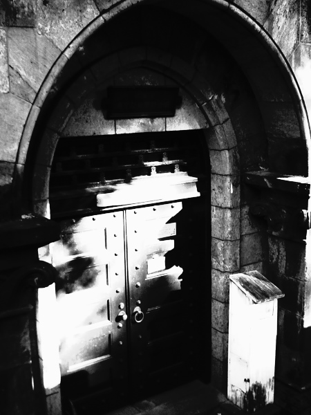 ������w�{���L�����p�X�̕��i