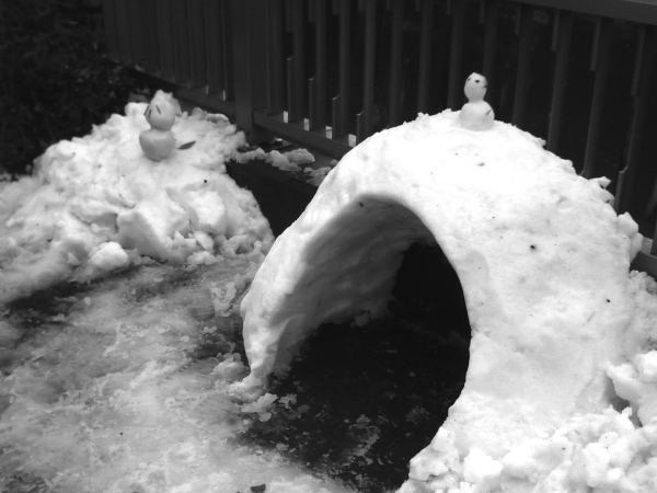 �����̏����ȐႾ��܂Ƃ��܂���̕��i