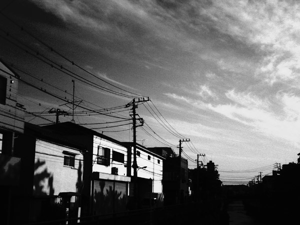 �����ΐ_���ő�ʔ������Ă��郆�X���J�ɕ��\��