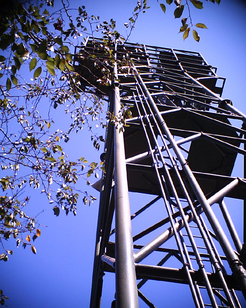 �B�e�T���v��