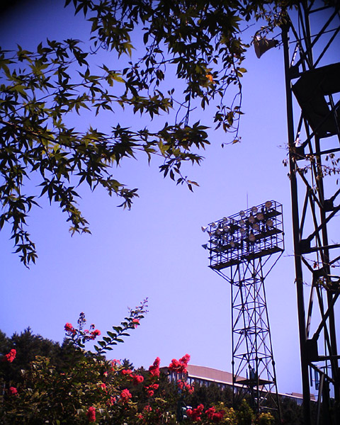 �B�e�T���v��