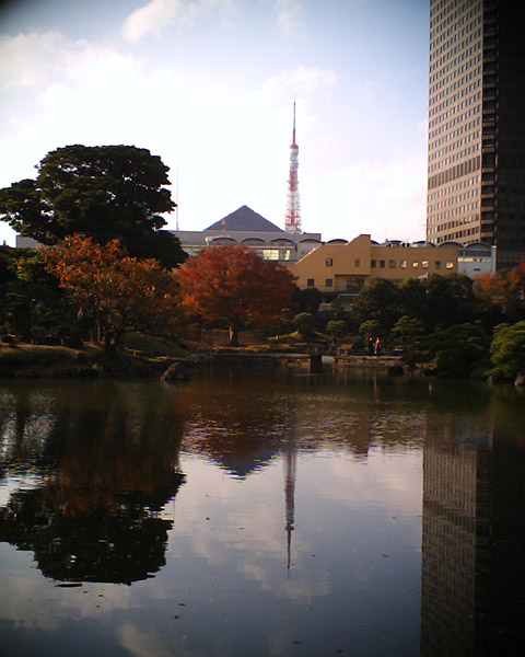 �B�e�T���v��