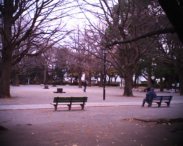 �B�e�T���v��