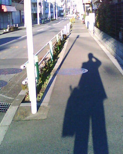 �B�e�T���v��