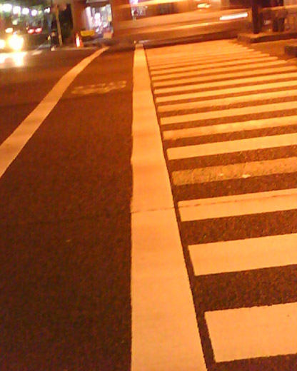 �B�e�T���v��