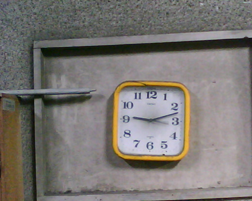 �B�e�T���v��