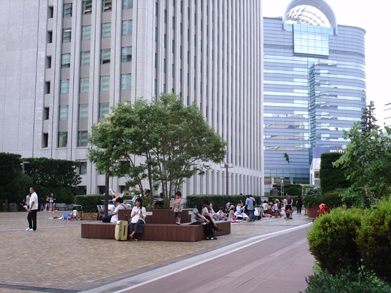 �B�e�T���v��