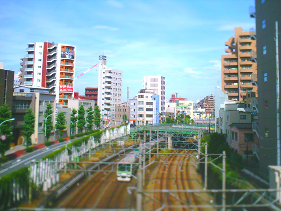 �B�e�T���v��