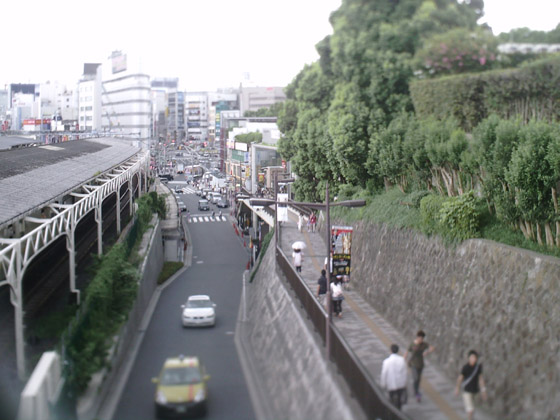 �B�e�T���v��