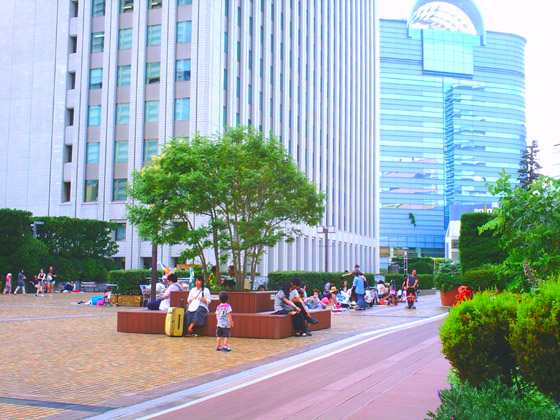 �B�e�T���v��