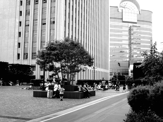 �B�e�T���v��