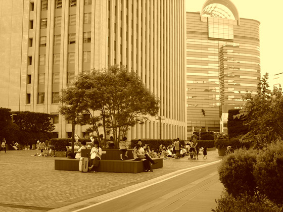 �B�e�T���v��