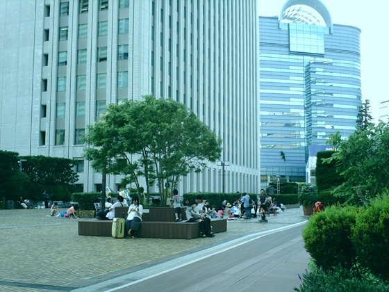 �B�e�T���v��