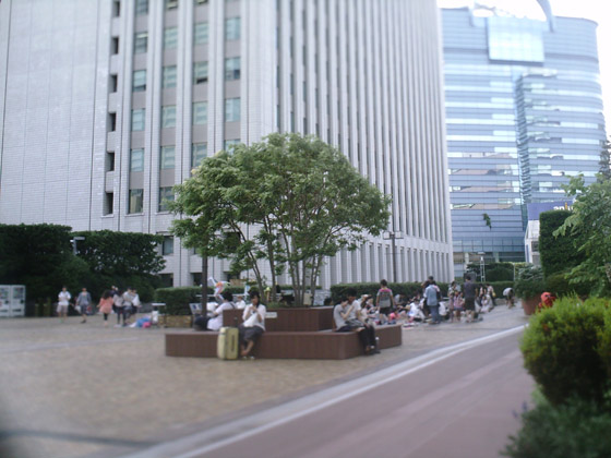 �B�e�T���v��