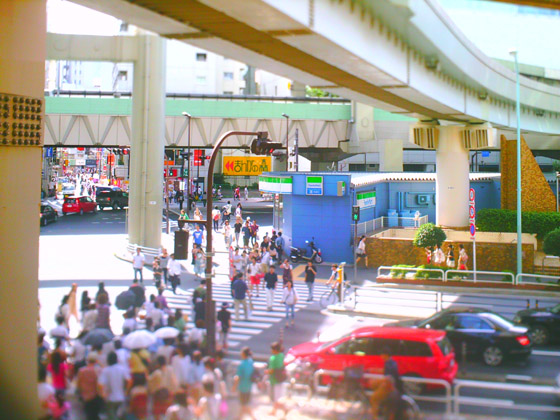 �B�e�T���v��