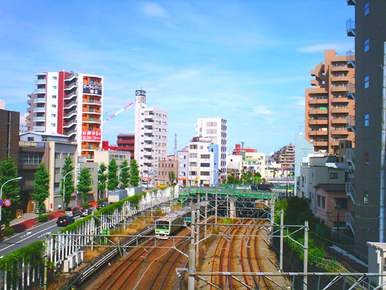 �B�e�T���v��