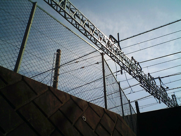 �B�e�T���v��