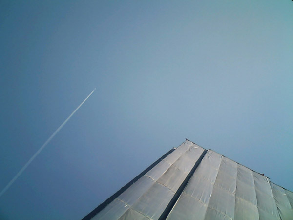 �B�e�T���v��