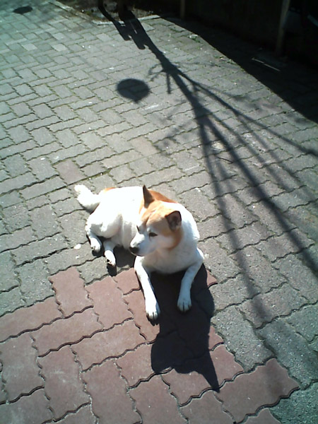 �B�e�T���v��