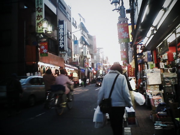 �B�e�T���v��