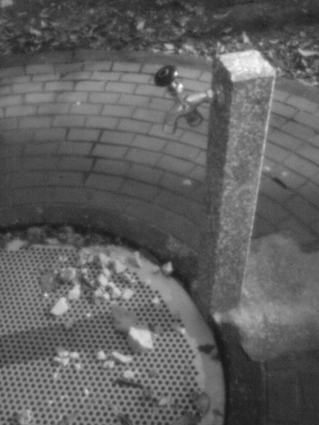 �ˎR�����̕��i