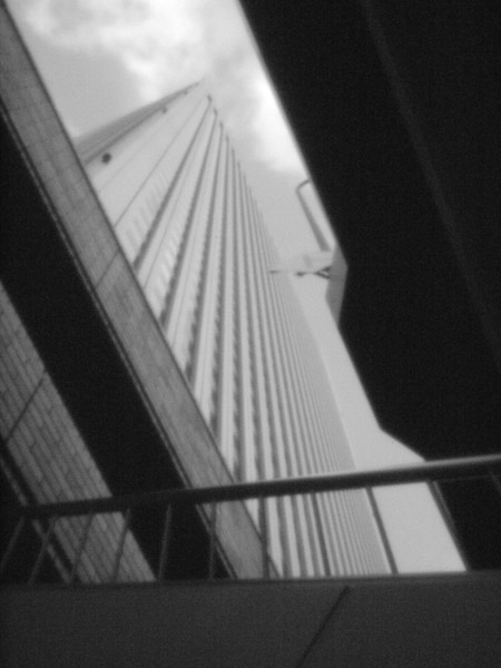 �r�܃T���V���C���V�e�B�̕��i