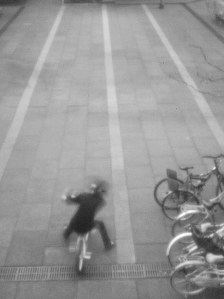 �r�܃T���V���C���V�e�B�̕��i