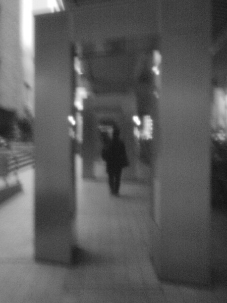 �r�܃T���V���C���V�e�B�̕��i