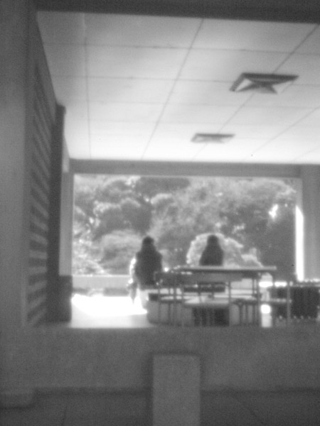 �~�̐V�h�䉑