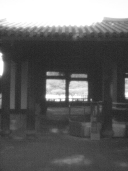 �~�̐V�h�䉑