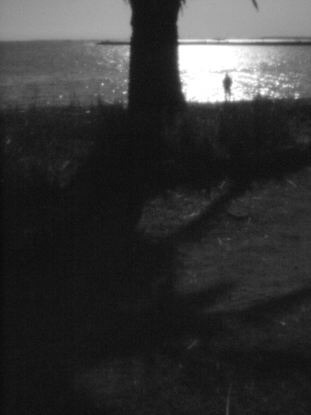 �����C�l����