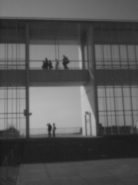 �����C�l����