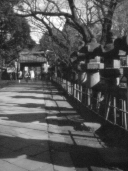 ��쓌�Ƌ{�̐Γ��U