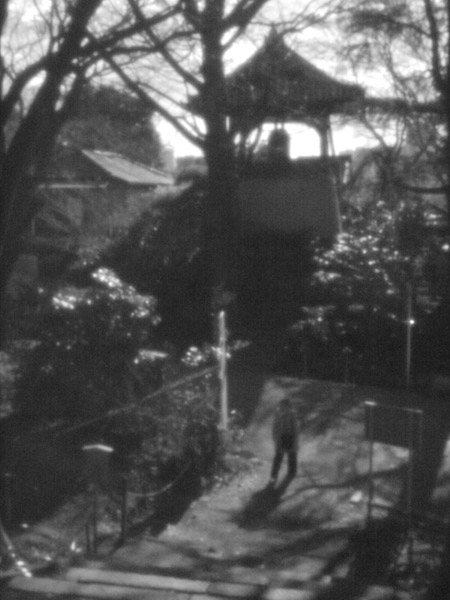 ���̎R����̕��i