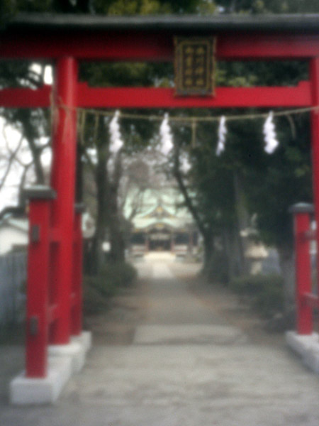 �܂��̃s���z�[���ʐ^