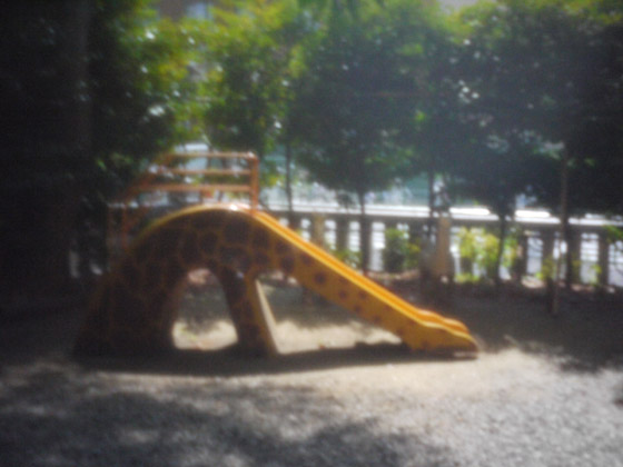 ���V�̃s���z�[���ʐ^