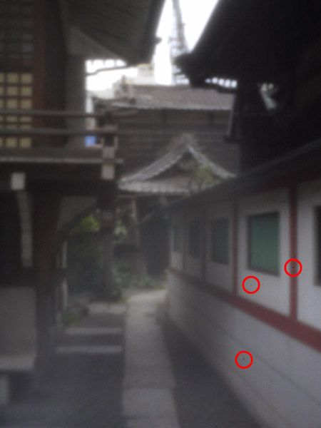 �s���z�[���ʐ^�̃m�C�Y