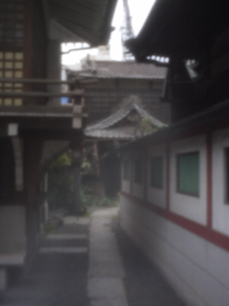 �m�C�Y������̃s���z�[���ʐ^