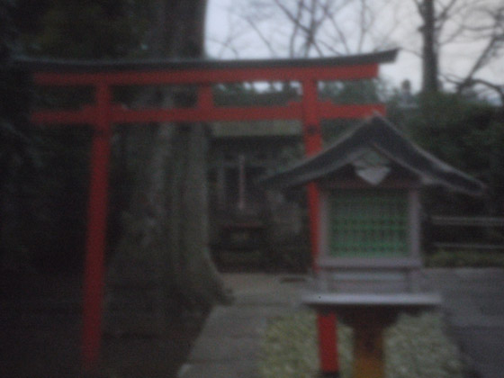 �P���̃s���z�[���ʐ^