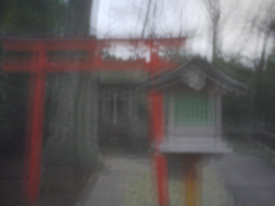 �������̃s���z�[���ʐ^